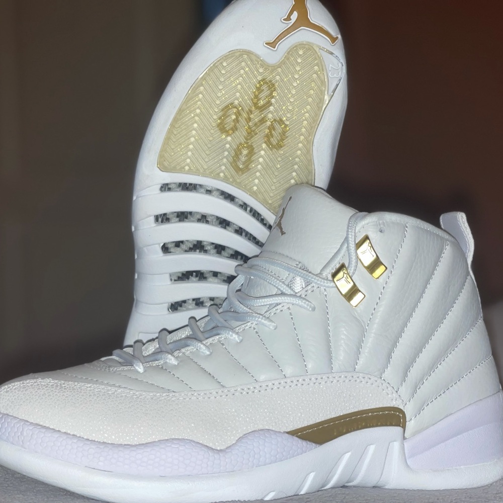 Jordan 12 OVO